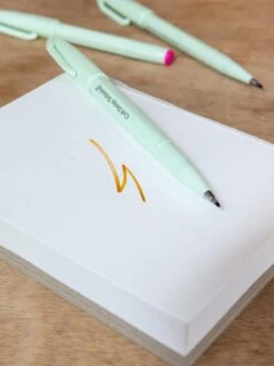 CDT Brush Sign Pens - 10-Pack, Assorted Colors -Rikumo CDT Brush Sign Pen 10 Pack Assorted Colors Lifestyle 4