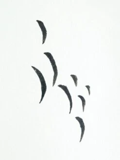 Akashiya ThinLine Brush Pen Set -Rikumo Ecrie Co Akashiya ThinLine Brush Pen Set 3