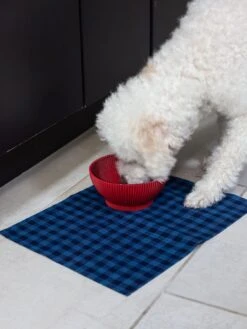 Pogo Pet Bowl -Rikumo Fragment Products Pogo Pet Bowl Lifestyle 17