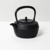 Iwachu Cast Iron Tea Kettle