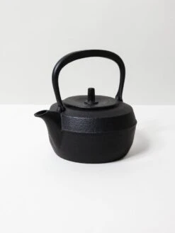 Iwachu Cast Iron Tea Kettle