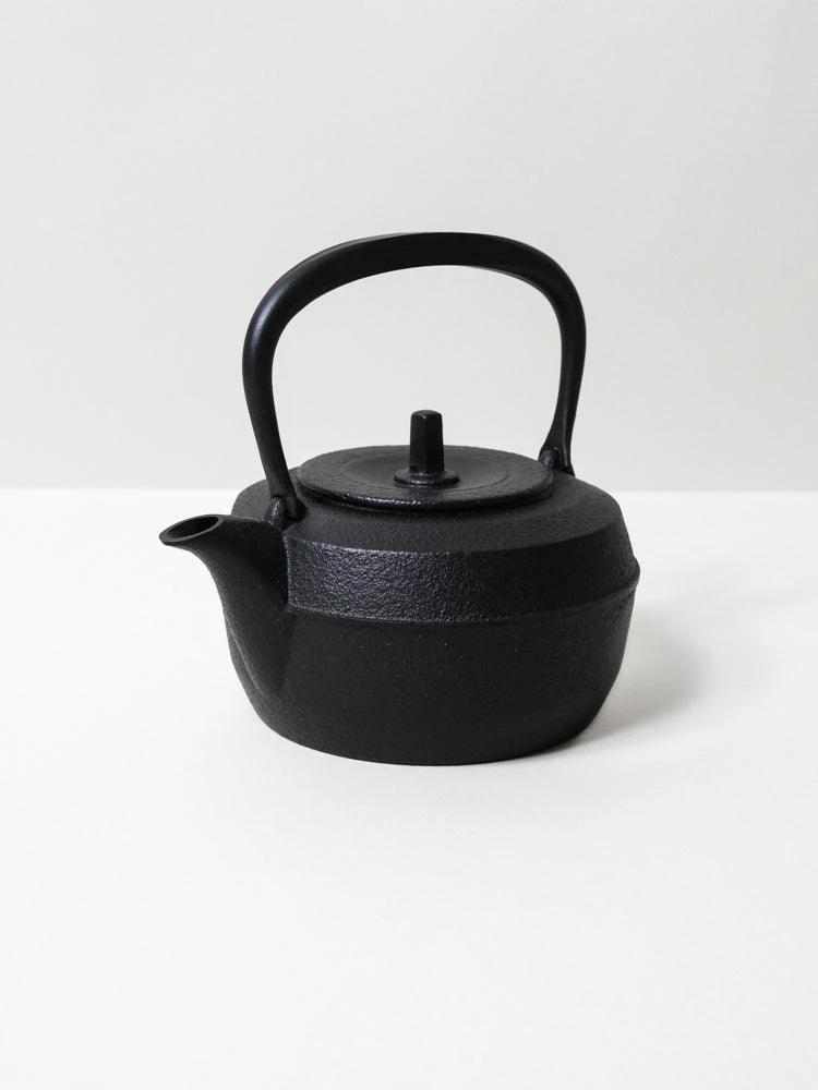 Iwachu Cast Iron Tea Kettle 3 Iwachu Cast Iron Tea Kettle