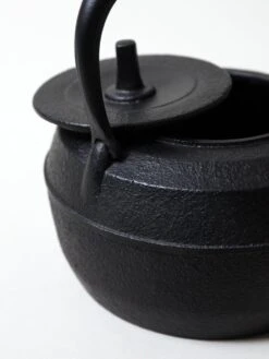 Iwachu Cast Iron Tea Kettle 9 Iwachu Cast Iron Tea Kettle -Rikumo Iwachu Cast Iron Tea Kettle 3